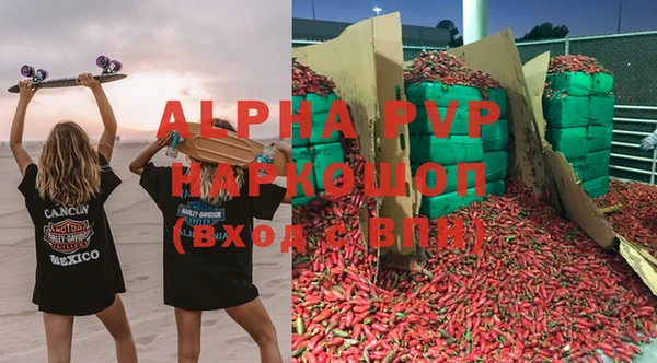 ECSTASY Алзамай